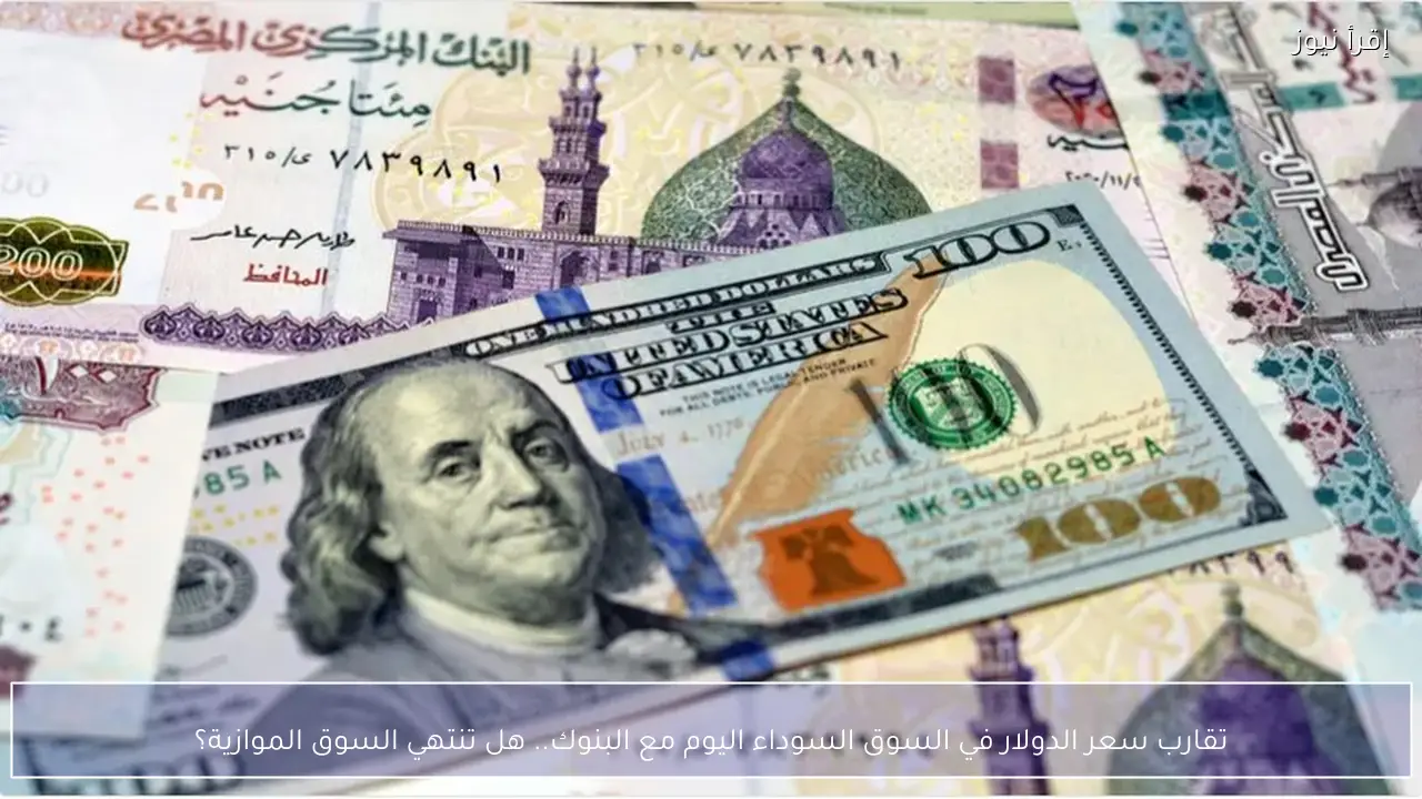 تقارب سعر الدولار في السوق السوداء اليوم مع البنوك.. هل تنتهي السوق الموازية؟
