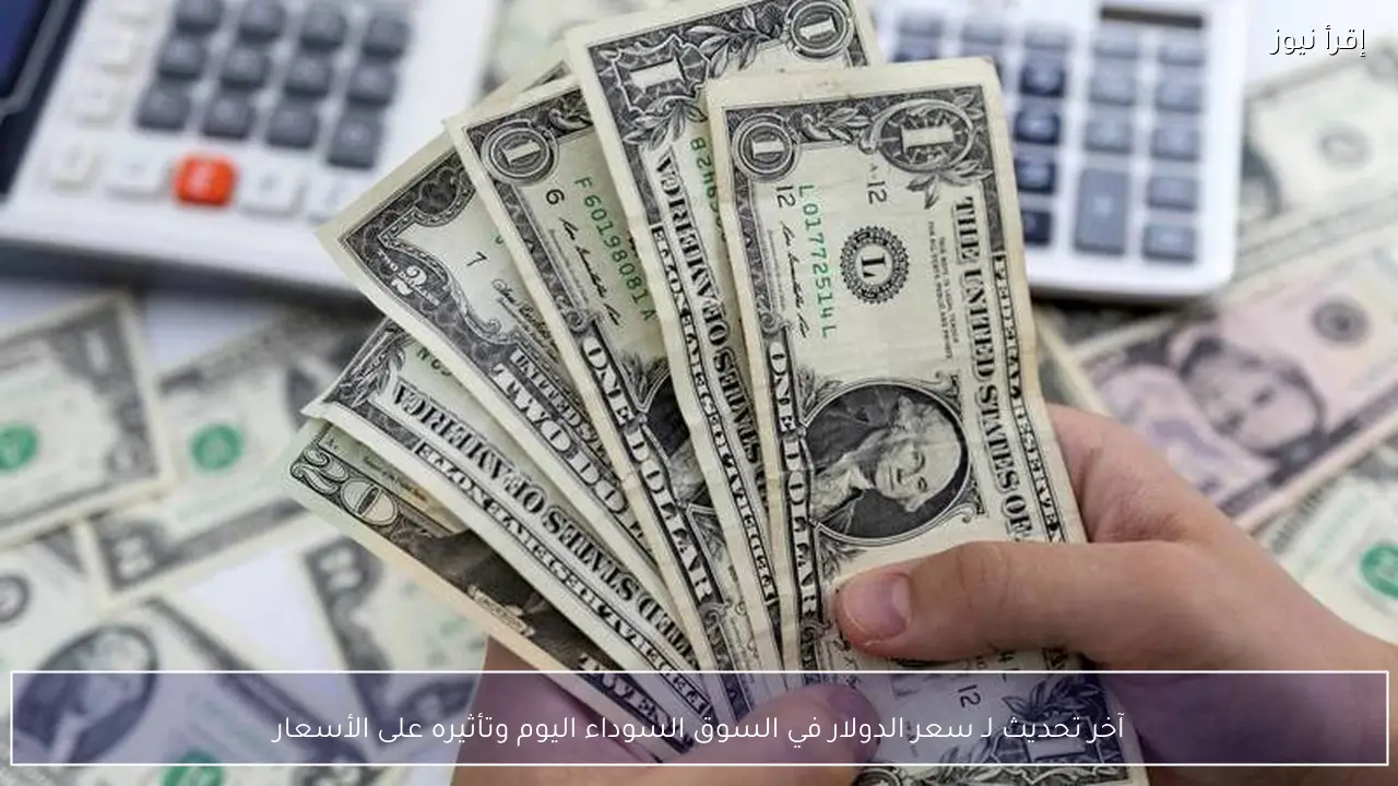 آخر تحديث لـ سعر الدولار في السوق السوداء اليوم وتأثيره على الأسعار