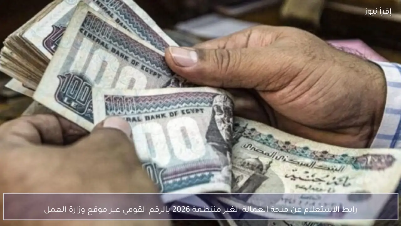رابط الاستعلام عن منحة العمالة الغير منتظمة 2026 بالرقم القومي عبر موقع وزارة العمل