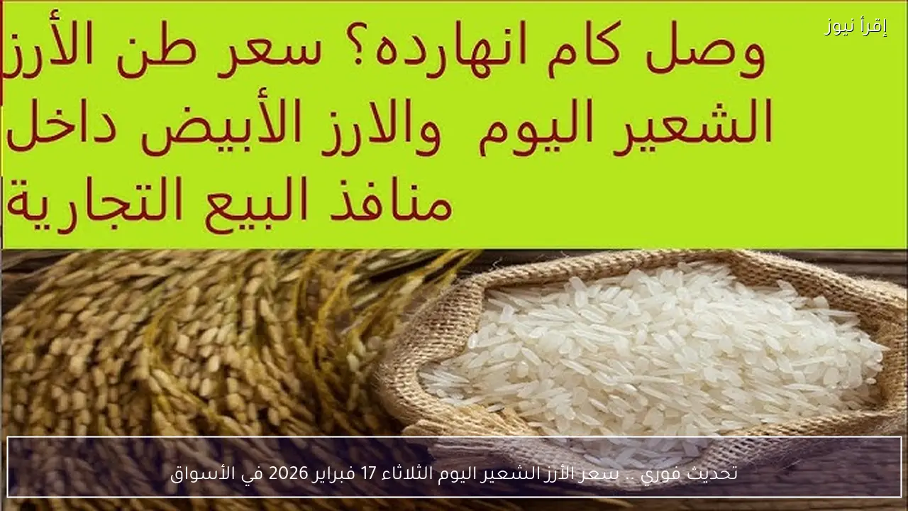 تحديث فوري .. سعر الأرز الشعير اليوم الثلاثاء 17 فبراير 2026 في الأسواق
