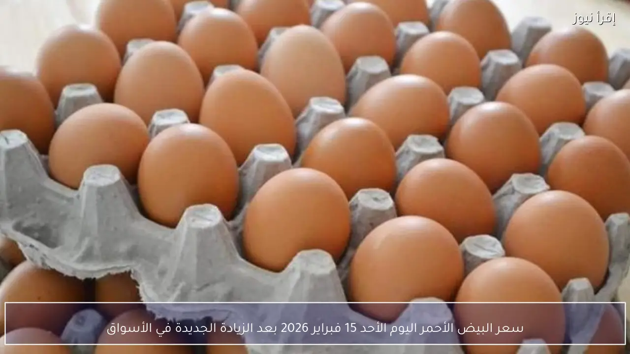 سعر البيض الأحمر اليوم الأحد 15 فبراير 2026 بعد الزيادة الجديدة في أرض المزرعة وللمستهلك