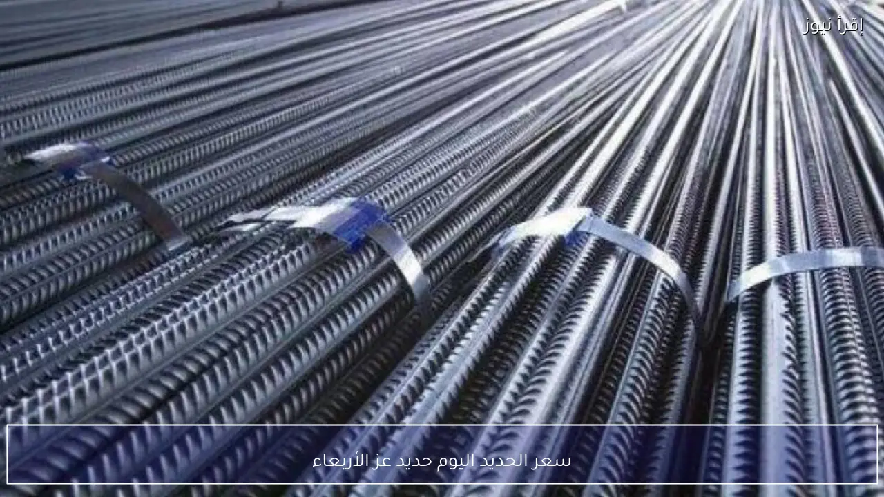 سعر الحديد اليوم حديد عز الأربعاء 18 فبراير 2026 في مصر داخل سوق مواد البناء