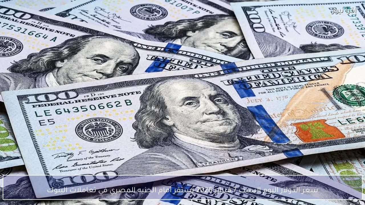 سعر الدولار اليوم السبت 7 فبراير 2026 يستقر أمام الجنيه المصري في تعاملات البنوك