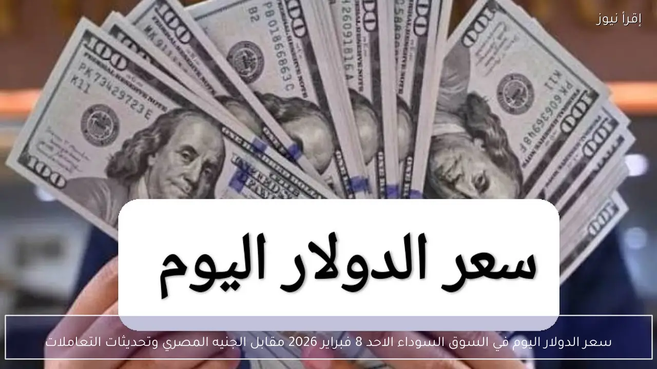 سعر الدولار اليوم في السوق السوداء الاحد 8 فبراير 2026 مقابل الجنيه المصري وتحديثات التعاملات
