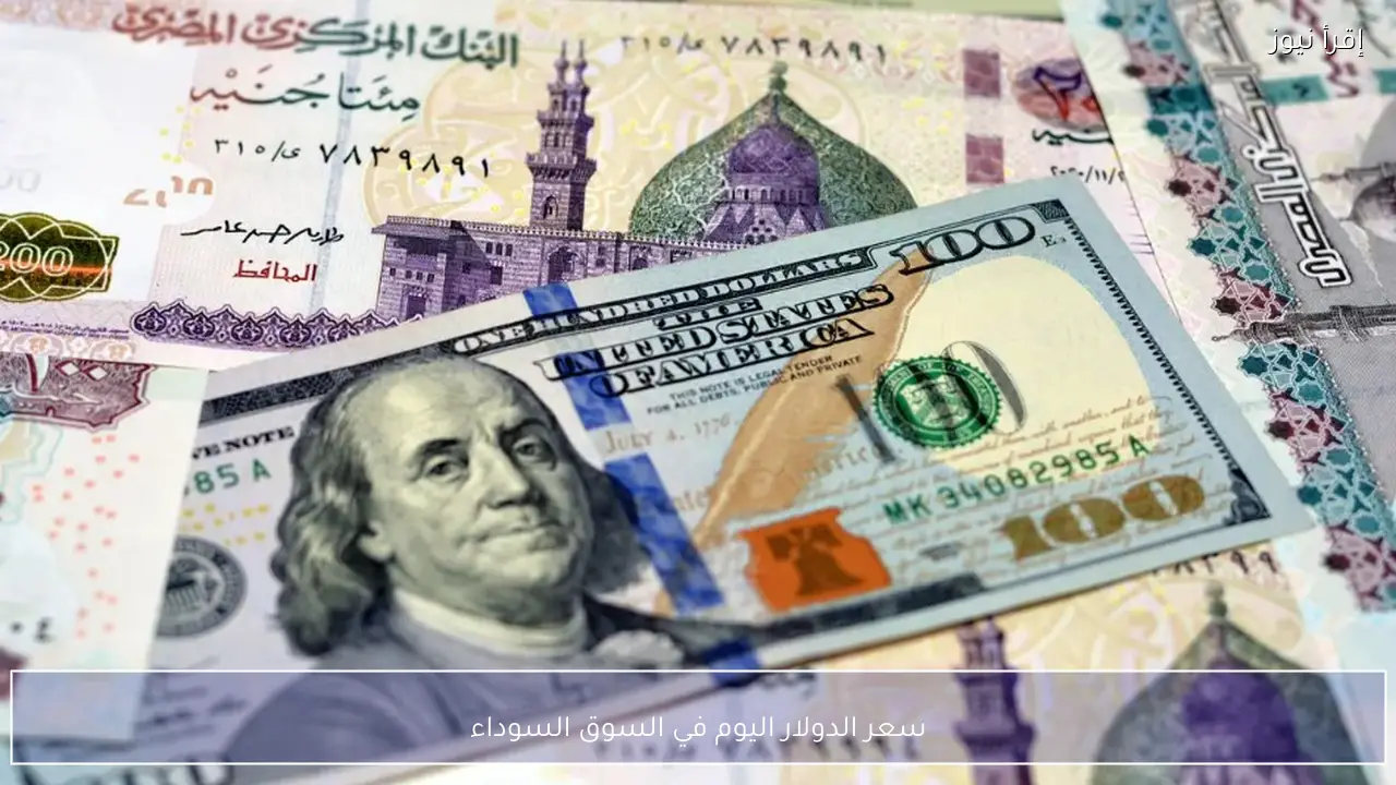 سعر الدولار اليوم في السوق السوداء الثلاثاء 24 فبراير 2026 مقابل الجنية المصري