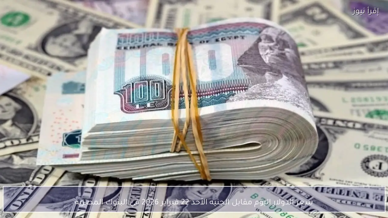 سعر الدولار اليوم مقابل الجنيه الأحد 22 فبراير 2026 واستقرار ملحوظ في بداية التعاملات داخل البنوك