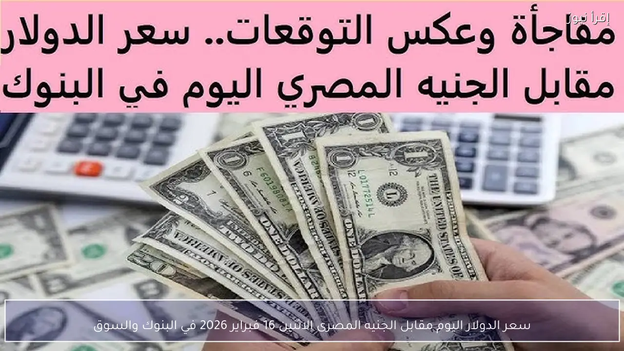 سعر الدولار اليوم مقابل الجنيه المصرى الاثنين 16 فبراير 2026 في البنوك والسوق