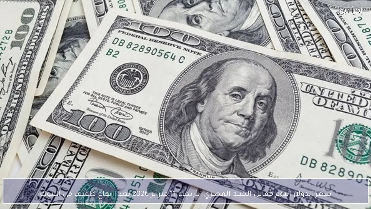 سعر الدولار اليوم مقابل الجنيه المصري الأربعاء 11 فبراير 2026 بعد ارتفاع طفيف في البنوك