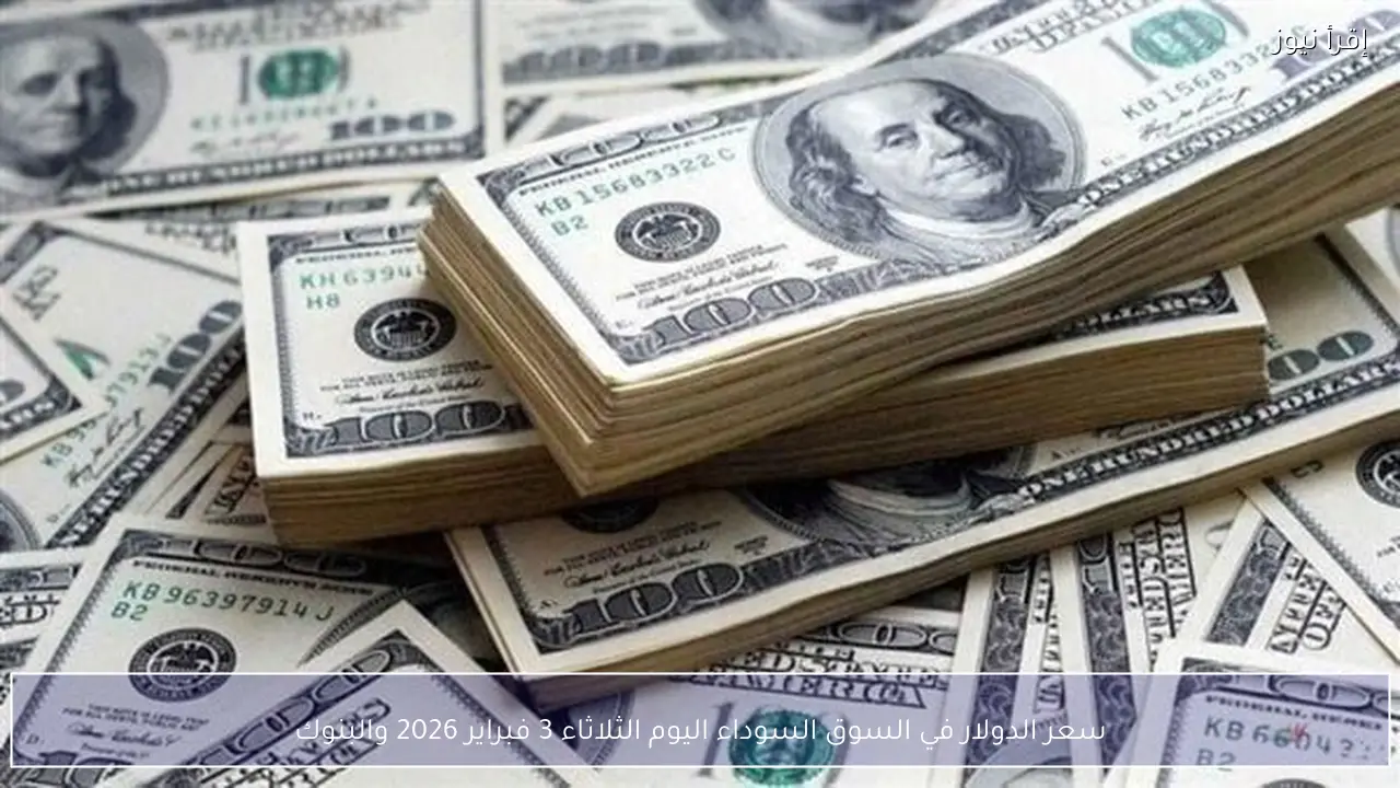 الآن سعر الدولار في السوق السوداء اليوم الثلاثاء 3 فبراير 2026 والبنوك