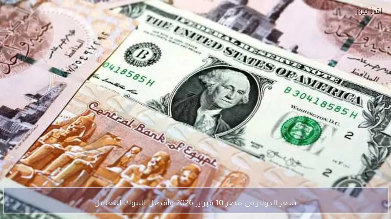 سعر الدولار في مصر 10 فبراير 2026 وأفضل البنوك للتعامل