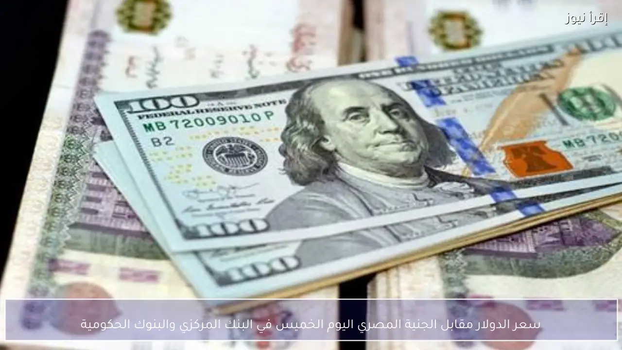 سعر الدولار مقابل الجنية المصري اليوم الخميس 5 فبراير 2026 في البنك المركزي والبنوك الحكومية