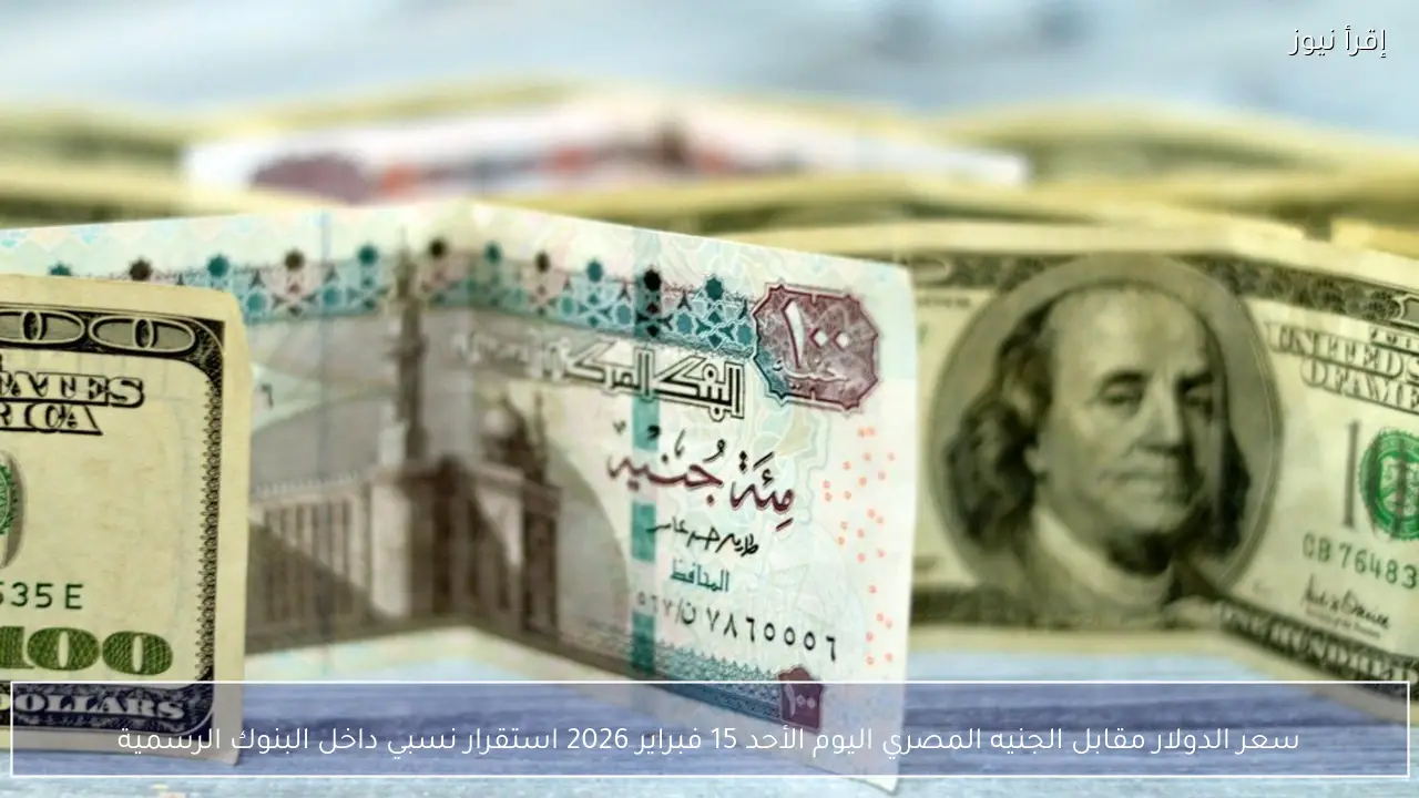 سعر الدولار مقابل الجنيه المصري اليوم الأحد 15 فبراير 2026 استقرار نسبي داخل البنوك الرسمية