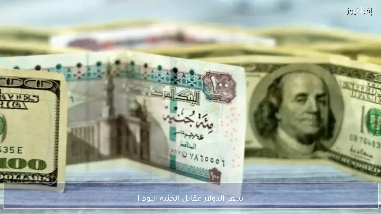 سعر الدولار مقابل الجنيه اليوم الثلاثاء 10 فبراير 2026 في البنك المركزي والبنوك المصرية