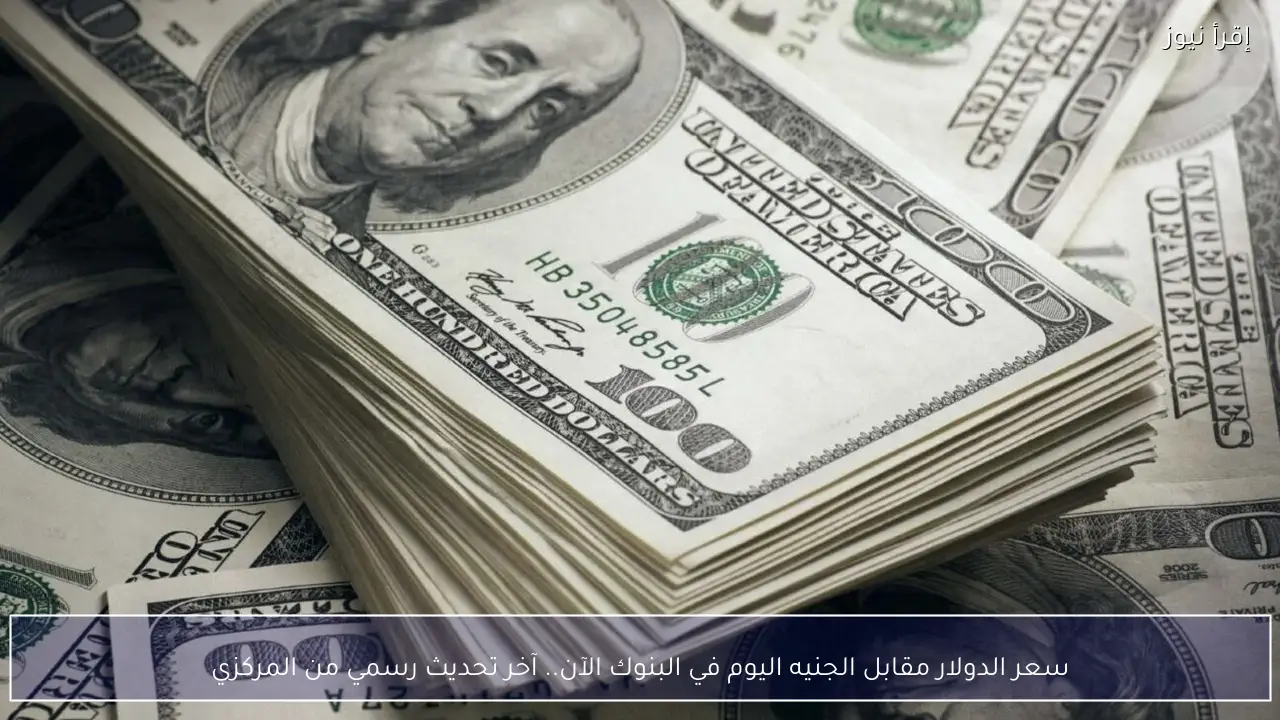 سعر الدولار مقابل الجنيه اليوم في البنوك.. آخر تحديث رسمي من المركزي