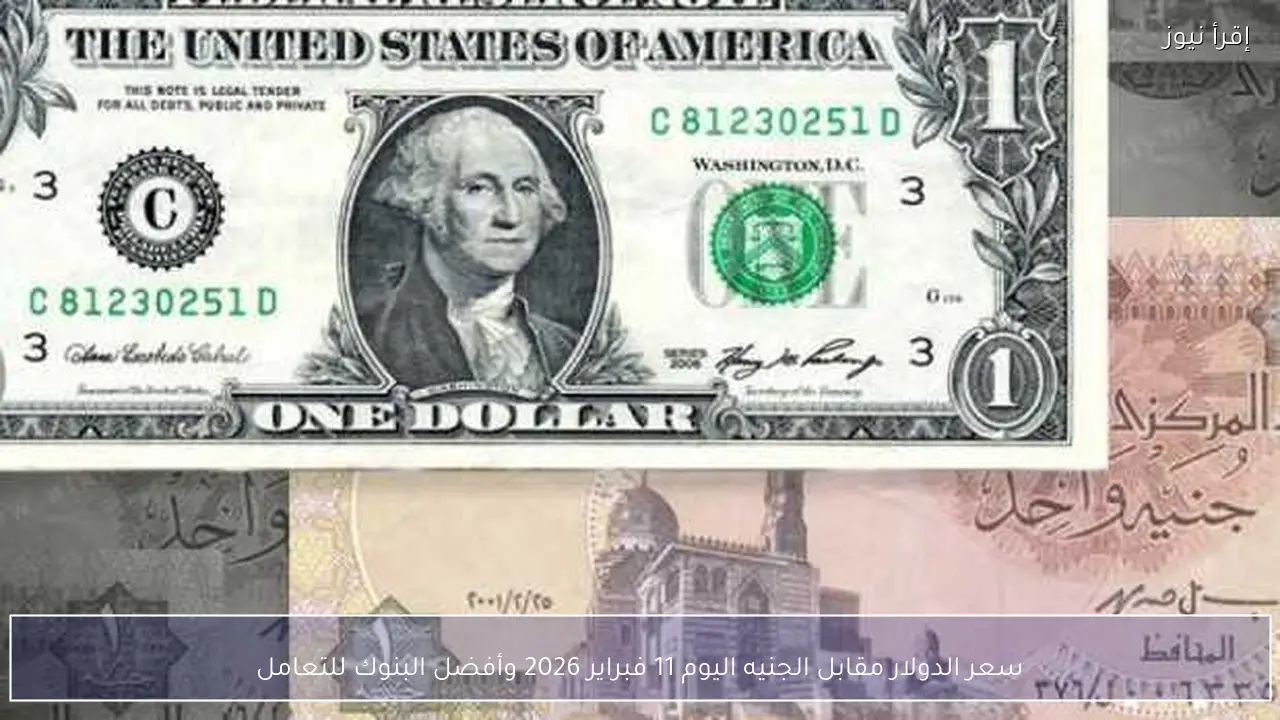 سعر الدولار مقابل الجنيه اليوم 11 فبراير 2026 وأفضل البنوك للتعامل