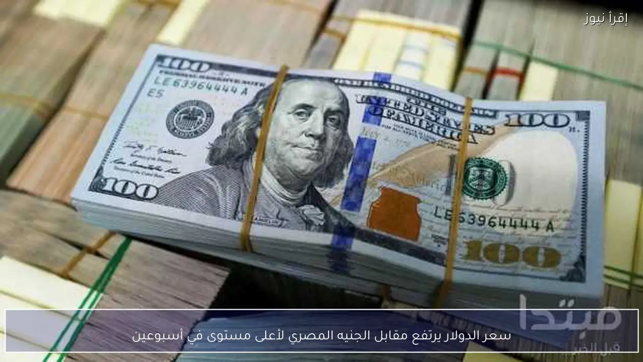 سعر الدولار يرتفع مقابل الجنيه المصري لأعلى مستوى في أسبوعين