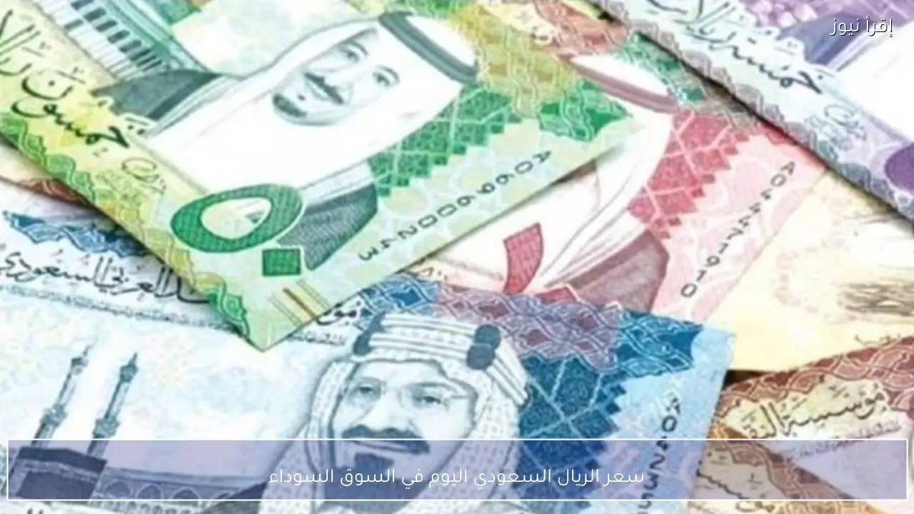 سعر الريال السعودي اليوم في السوق السوداء مقابل الجنيه المصري الأحد 16 فبراير 2026