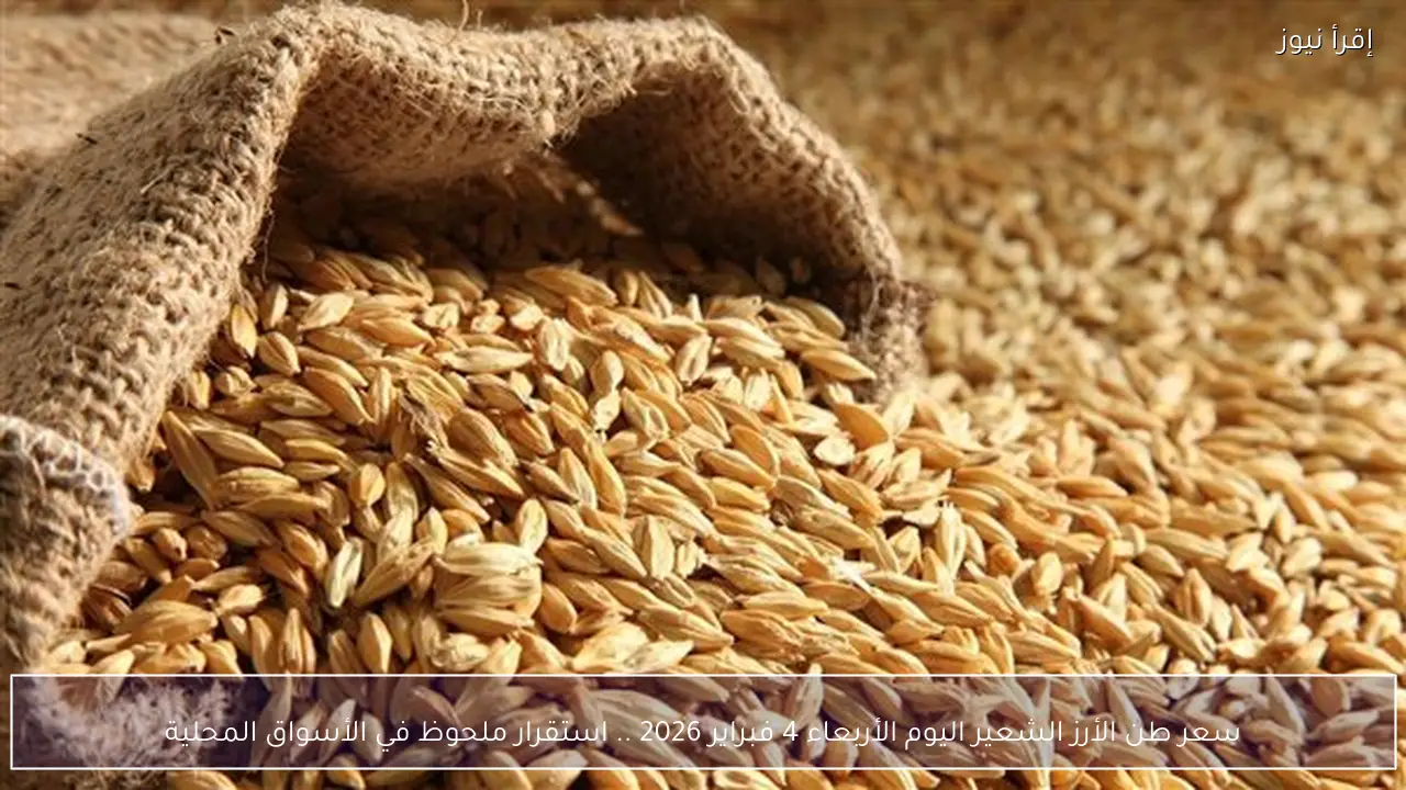 سعر طن الأرز الشعير اليوم الأربعاء 4 فبراير 2026 استقرار ملحوظ في الأسواق المحلية