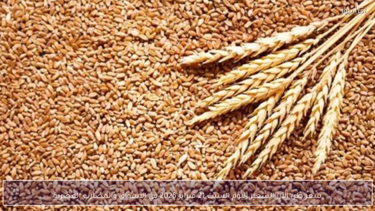 سعر طن الأرز الشعير اليوم الأحد 8 فبراير 2026 استقرار ملحوظ بالأسواق المحلية