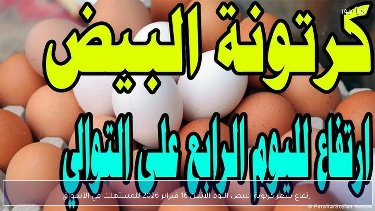 ارتفاع سعر كرتونة البيض اليوم الاثنين 16 فبراير 2026 للمستهلك في الأسواق