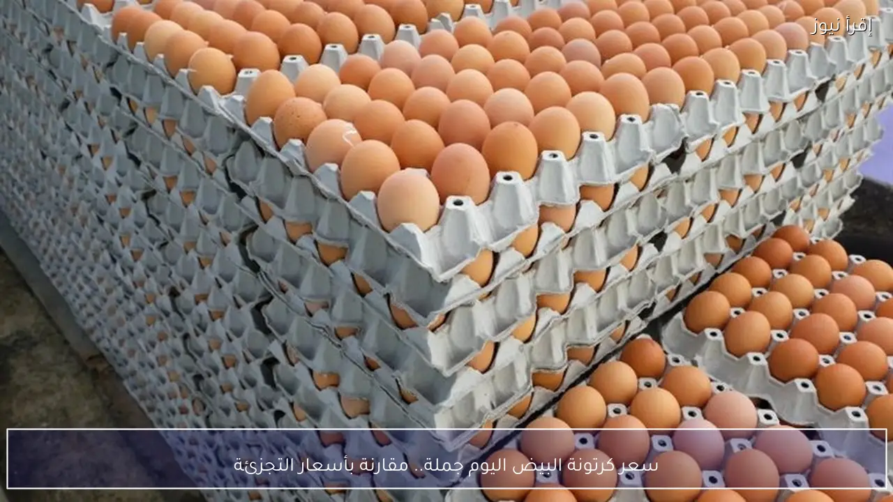 سعر كرتونة البيض اليوم جملة وتجزئة.. مقارنة شاملة بين السوقين