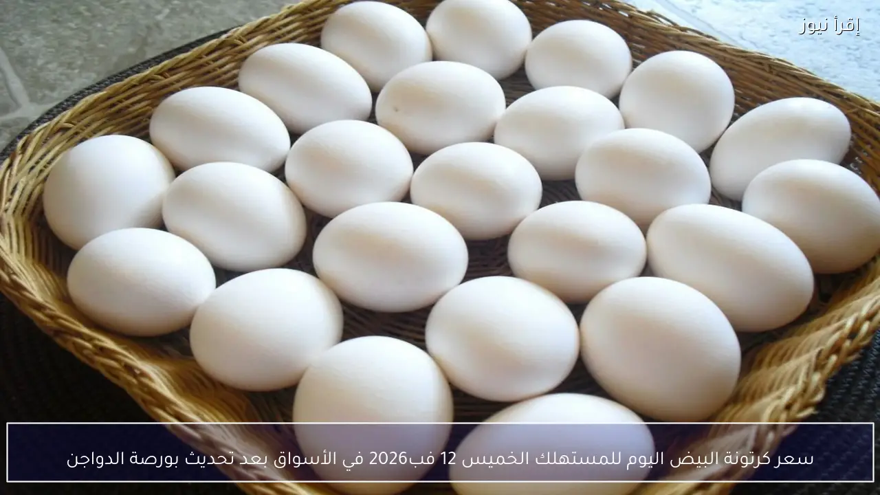 سعر كرتونة البيض اليوم للمستهلك الخميس 12 فبراير 2026 في الأسواق بعد تحديث بورصة الدواجن