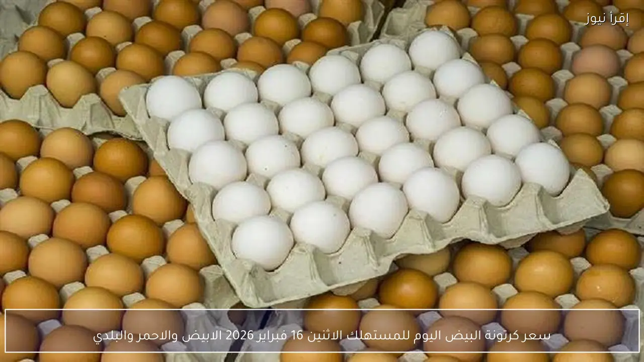 سعر كرتونة البيض اليوم للمستهلك الاثنين 16 فبراير 2026 الابيض والاحمر والبلدي