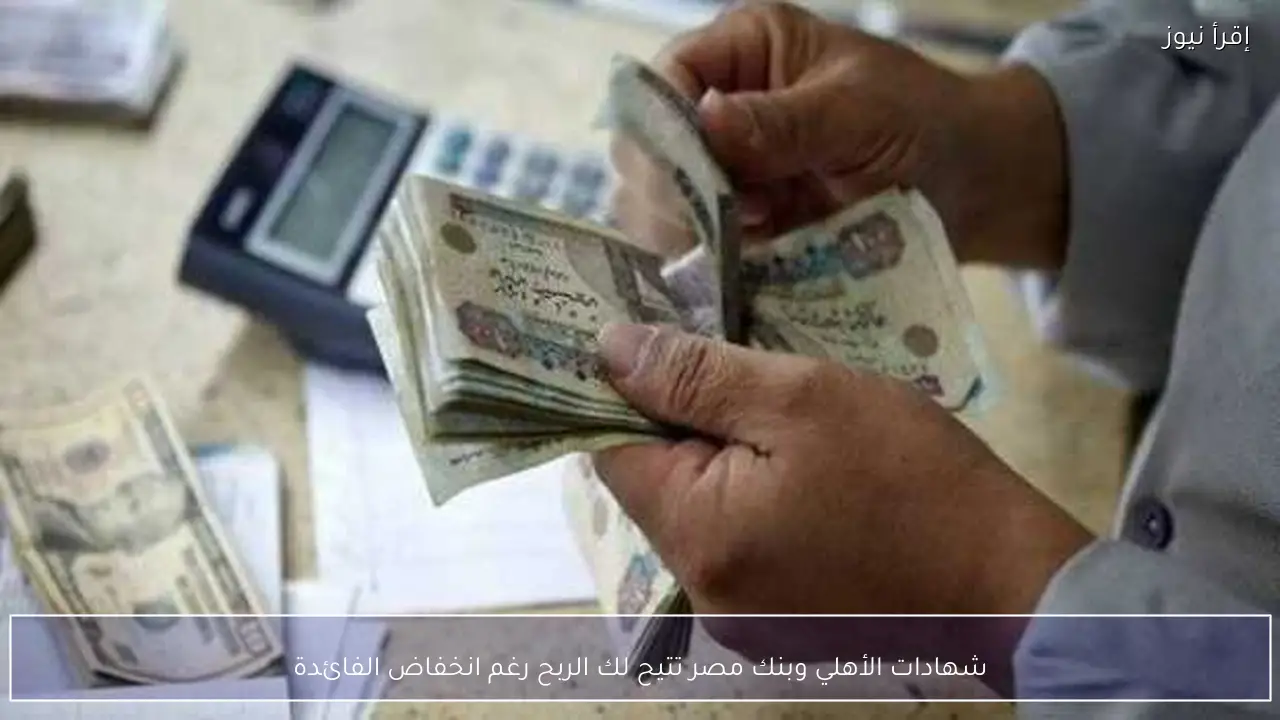شهادات الأهلي وبنك مصر تتيح لك الربح رغم انخفاض الفائدة