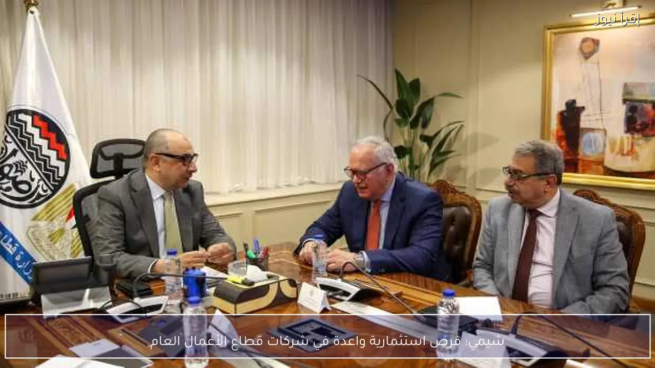 شيمي: فرص استثمارية واعدة في شركات قطاع الأعمال العام