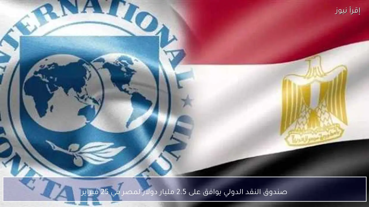 صندوق النقد الدولي يوافق على 2.5 مليار دولار لمصر في 25 فبراير