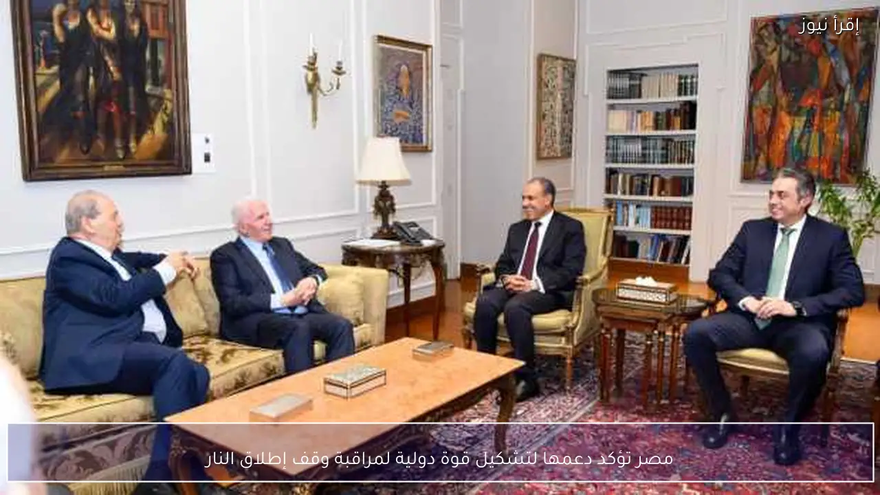 مصر تؤكد دعمها لتشكيل قوة دولية لمراقبة وقف إطلاق النار