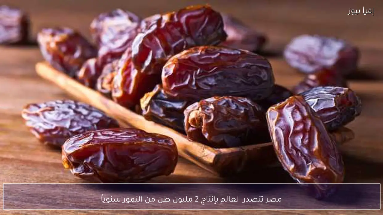 مصر تتصدر العالم بإنتاج 2 مليون طن من التمور سنوياً
