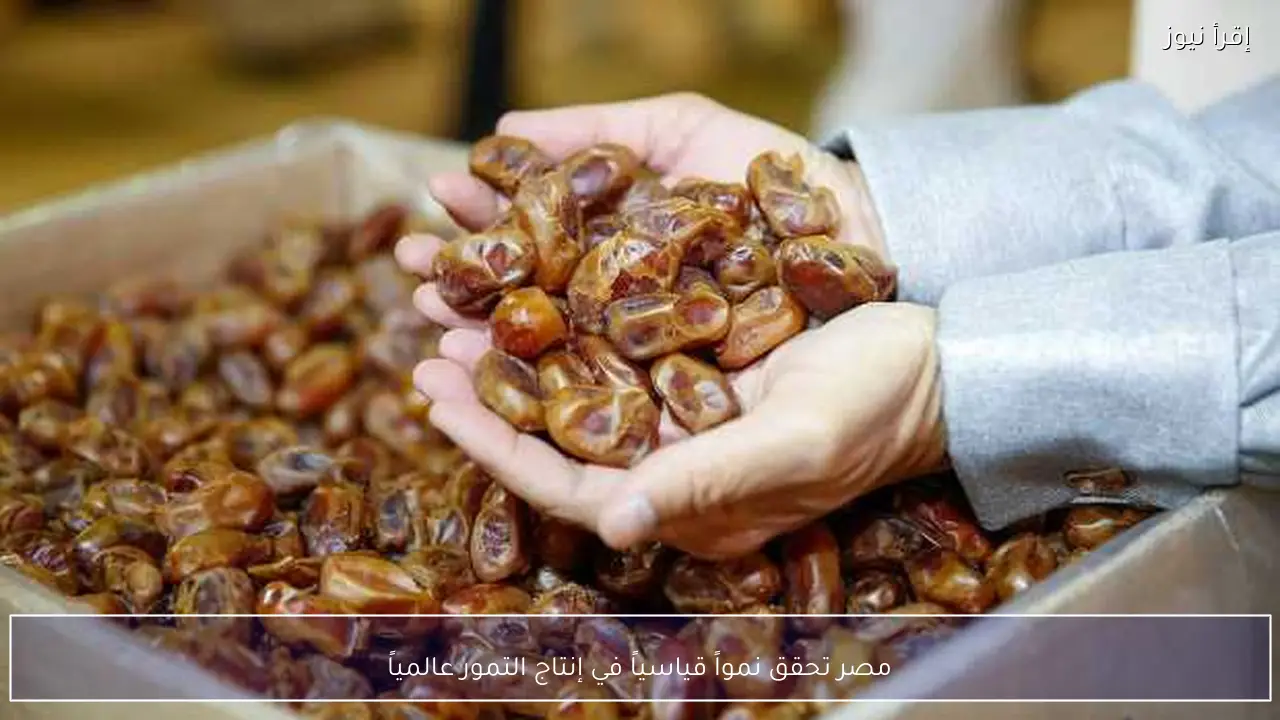 مصر تحقق نمواً قياسياً في إنتاج التمور عالمياً