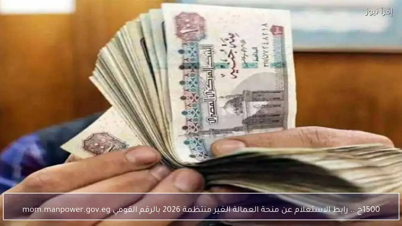 1500ج .. رابط الاستعلام عن منحة العمالة الغير منتظمة 2026 بالرقم القومي mom.manpower.gov.eg