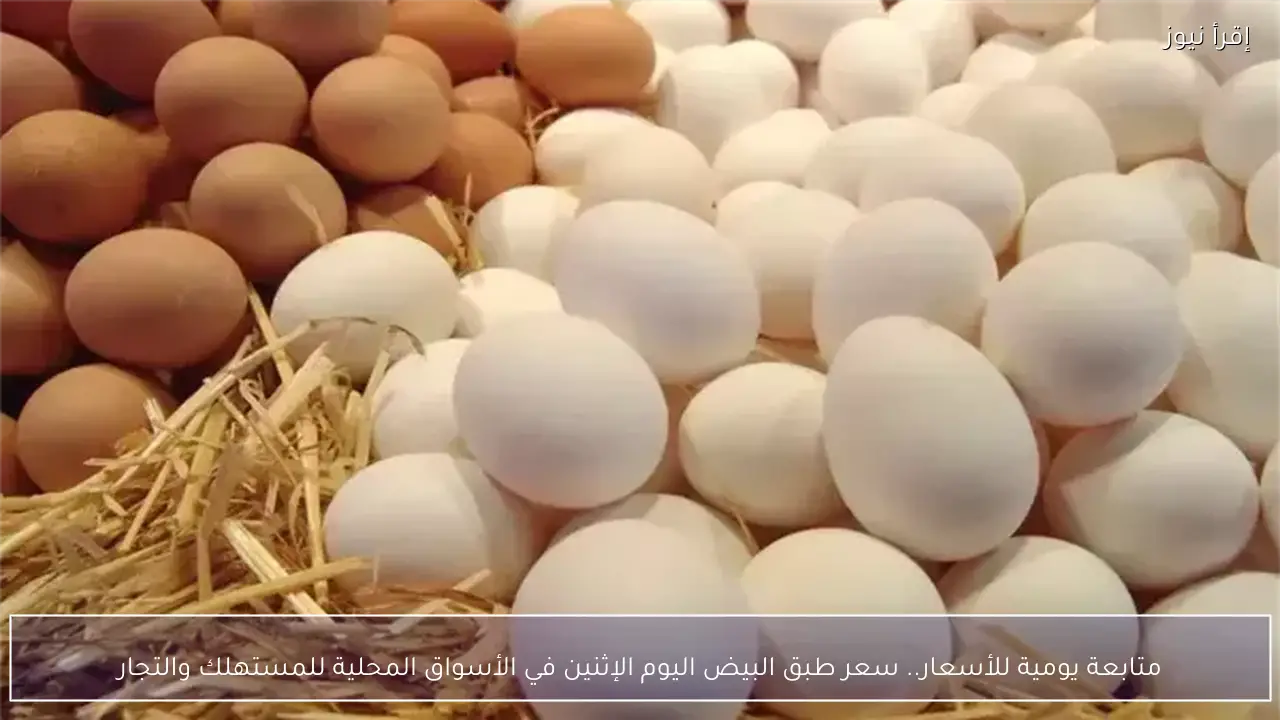 متابعة يومية للأسعار.. سعر طبق البيض اليوم الإثنين في الأسواق المحلية للمستهلك والتجار