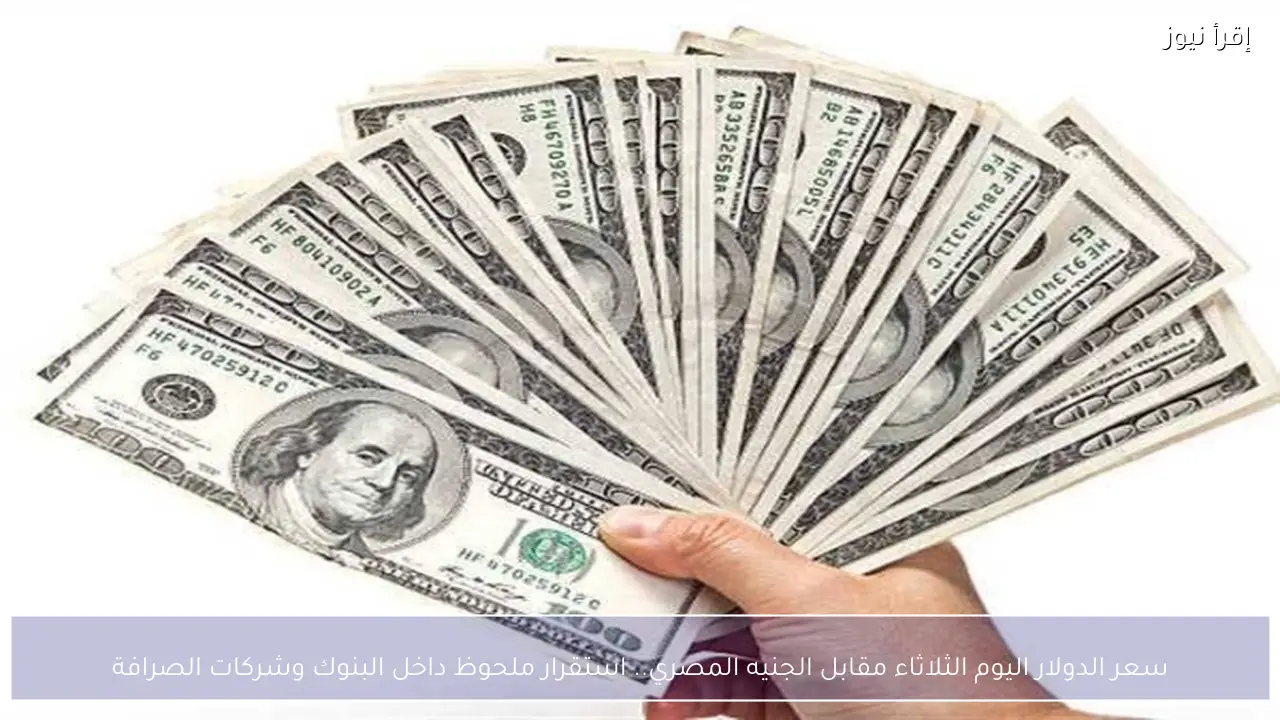 سعر الدولار اليوم الثلاثاء مقابل الجنيه المصري.. استقرار ملحوظ داخل البنوك وشركات الصرافة