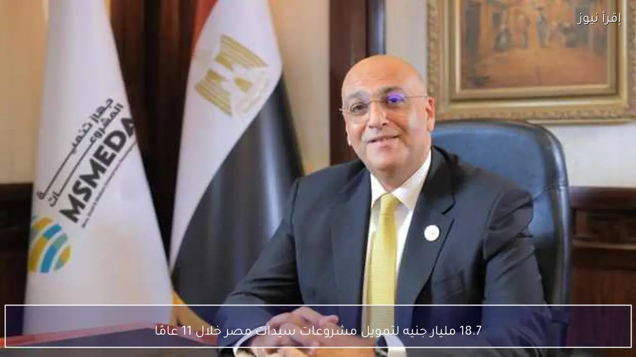 18.7 مليار جنيه لتمويل مشروعات سيدات مصر خلال 11 عامًا