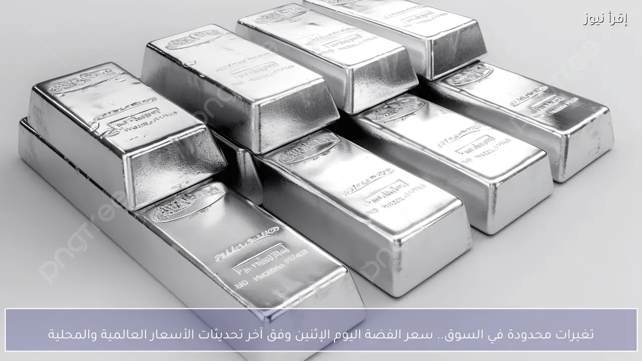 تغيرات محدودة في السوق.. سعر الفضة اليوم الإثنين وفق آخر تحديثات الأسعار العالمية والمحلية