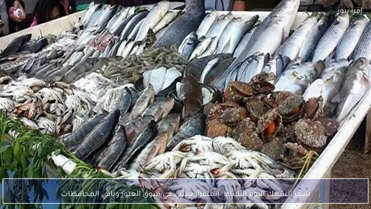 سعر السمك اليوم الثلاثاء.. استقرار نسبي في سوق العبور وباقي المحافظات