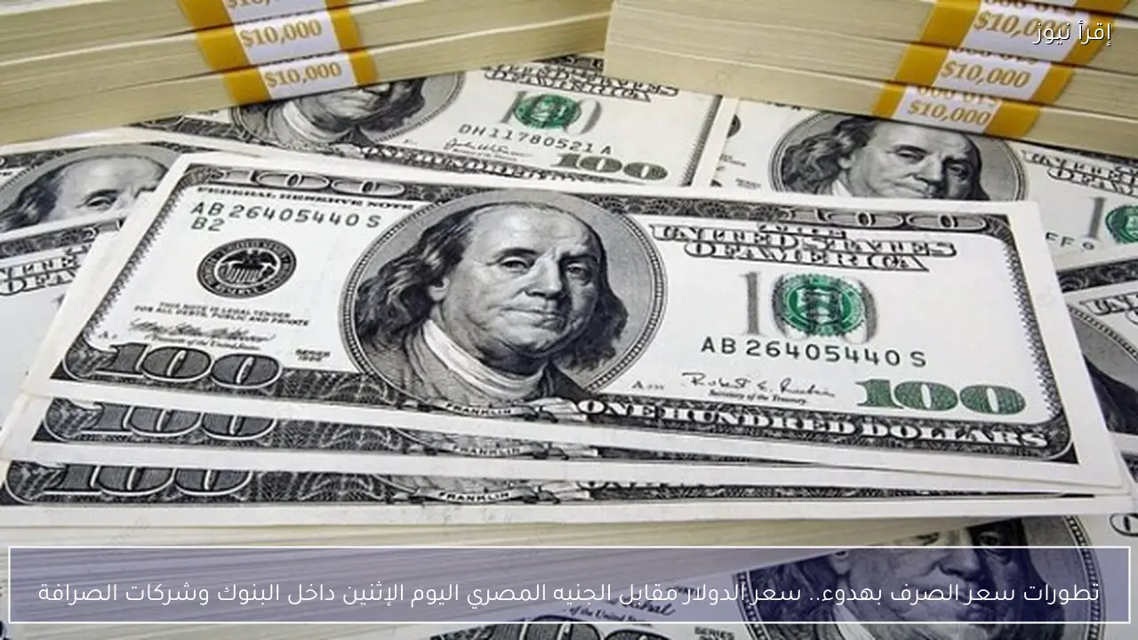 تطورات سعر الصرف بهدوء.. سعر الدولار مقابل الجنيه المصري اليوم الإثنين داخل البنوك وشركات الصرافة