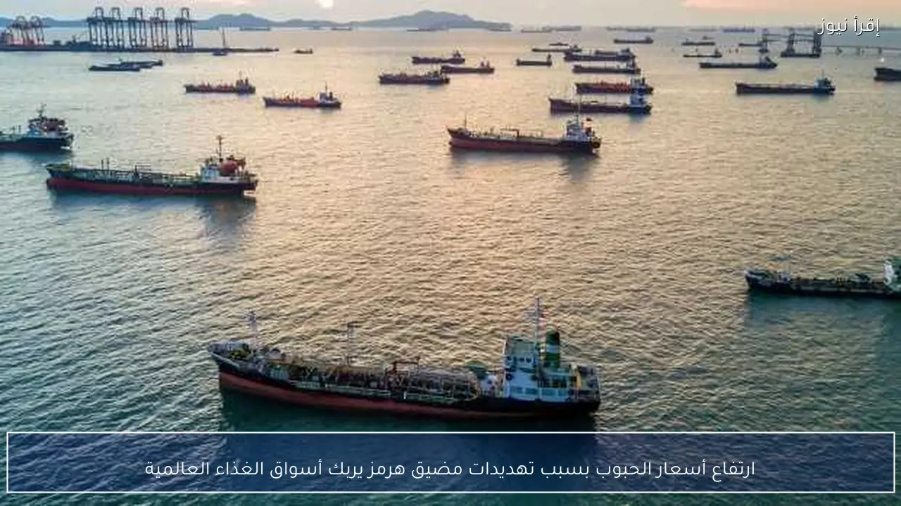 ارتفاع أسعار الحبوب بسبب تهديدات مضيق هرمز يربك أسواق الغذاء العالمية