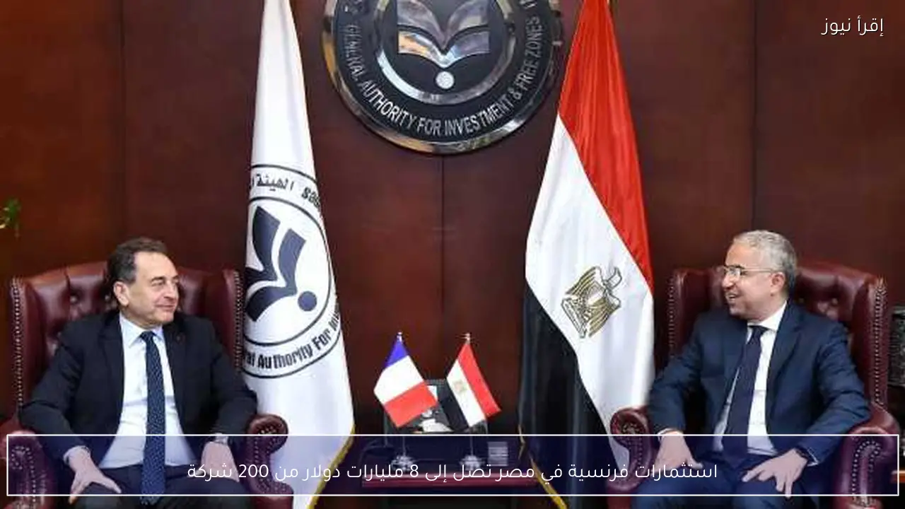 استثمارات فرنسية في مصر تصل إلى 8 مليارات دولار من 200 شركة