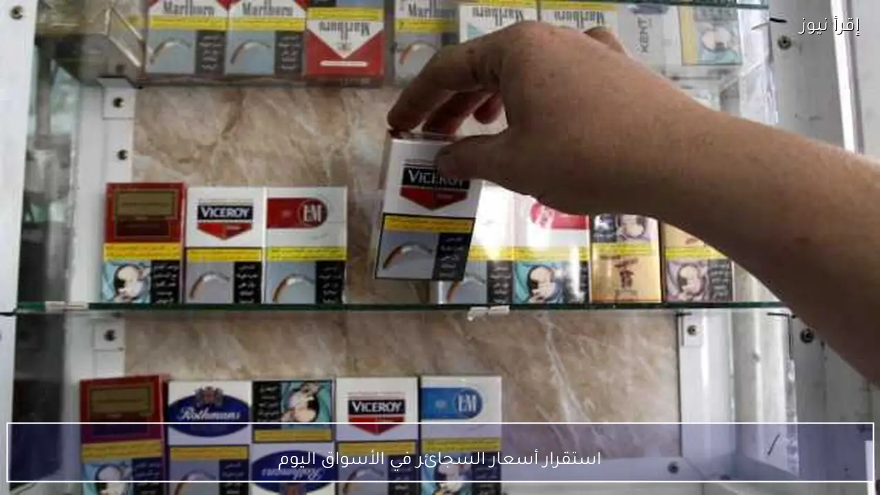 استقرار أسعار السجائر في الأسواق اليوم