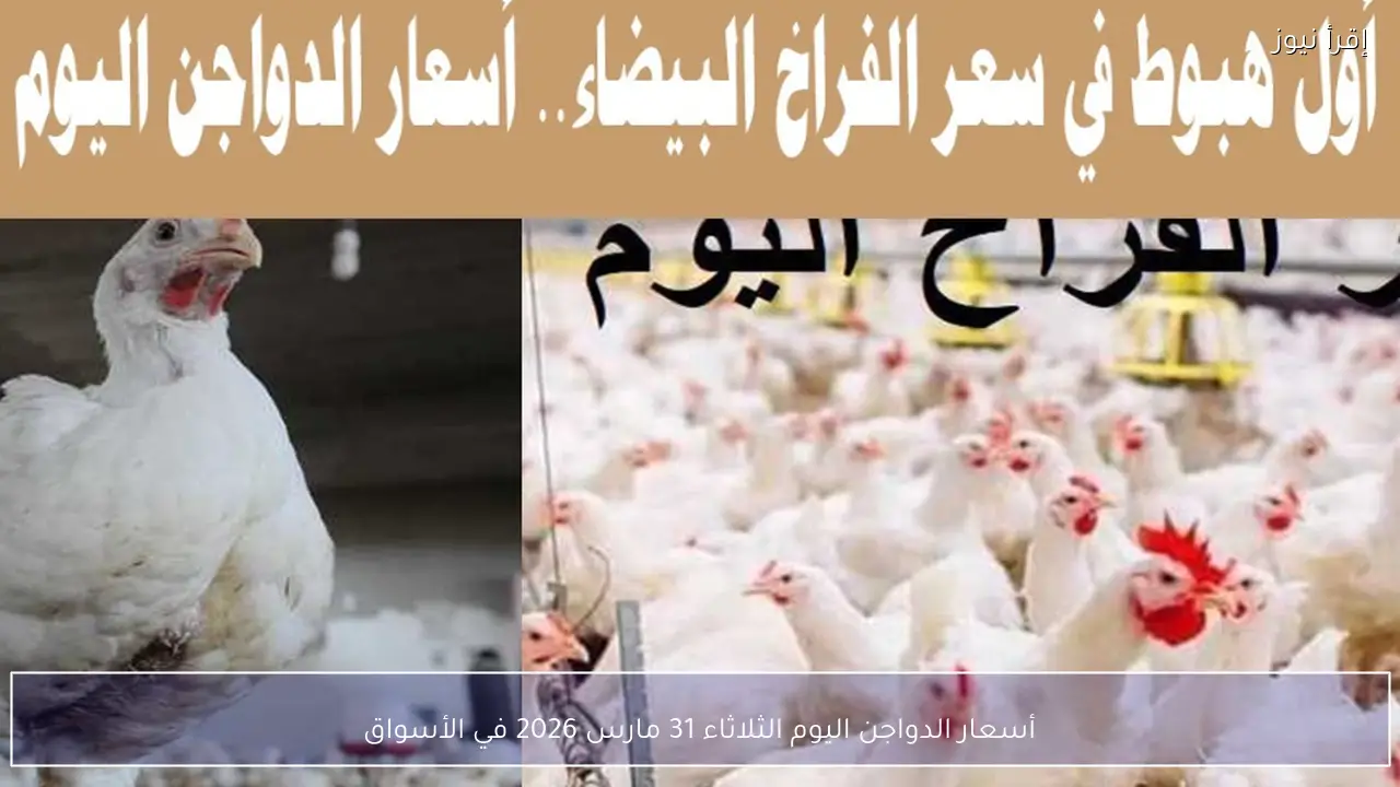 أسعار الدواجن اليوم الثلاثاء 31 مارس 2026 في الأسواق