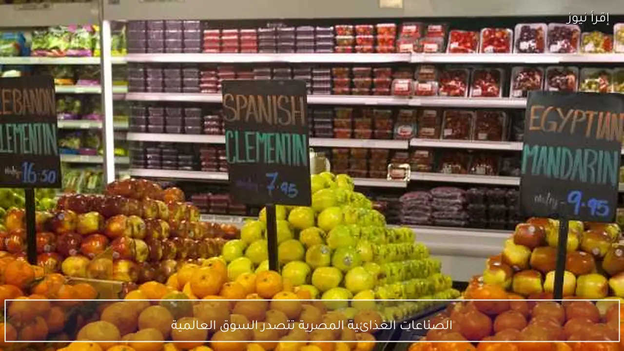 الصناعات الغذائية المصرية تتصدر السوق العالمية