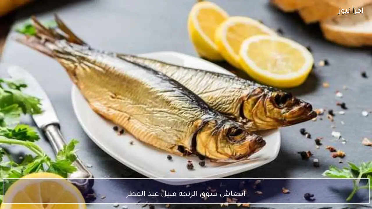 انتعاش سوق الرنجة قبيل عيد الفطر