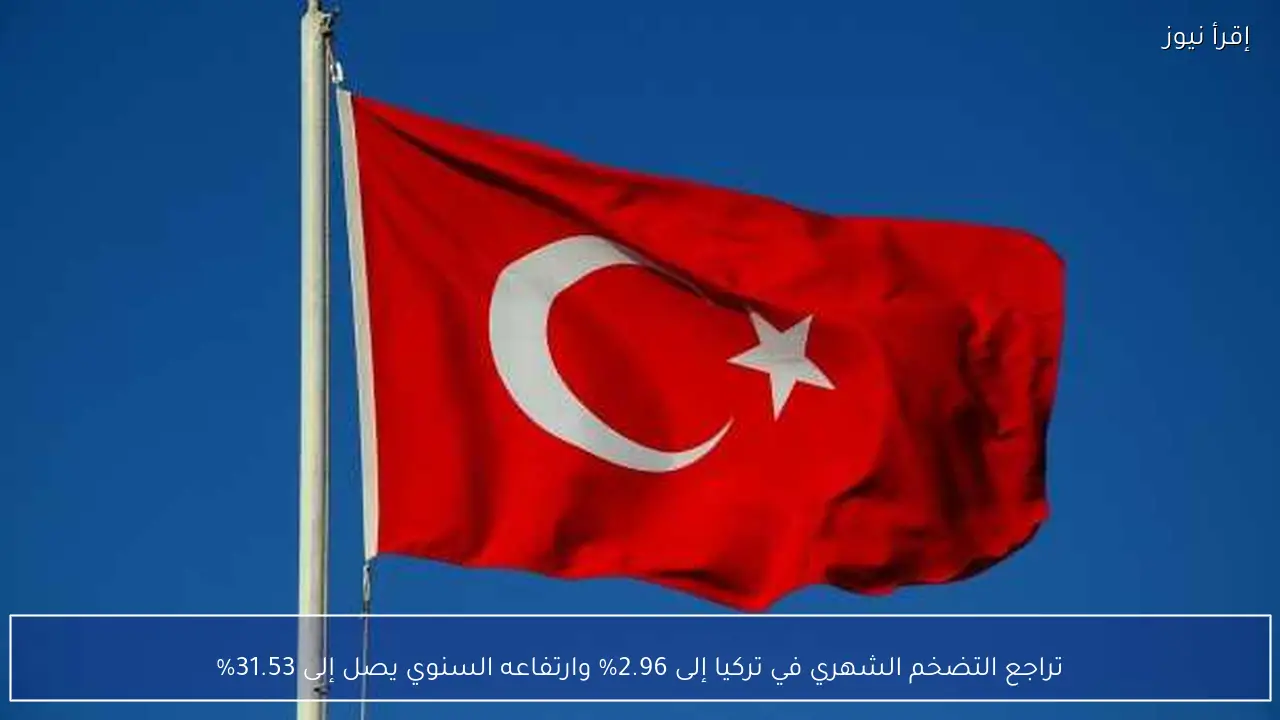 تراجع التضخم الشهري في تركيا إلى 2.96% وارتفاعه السنوي يصل إلى 31.53%