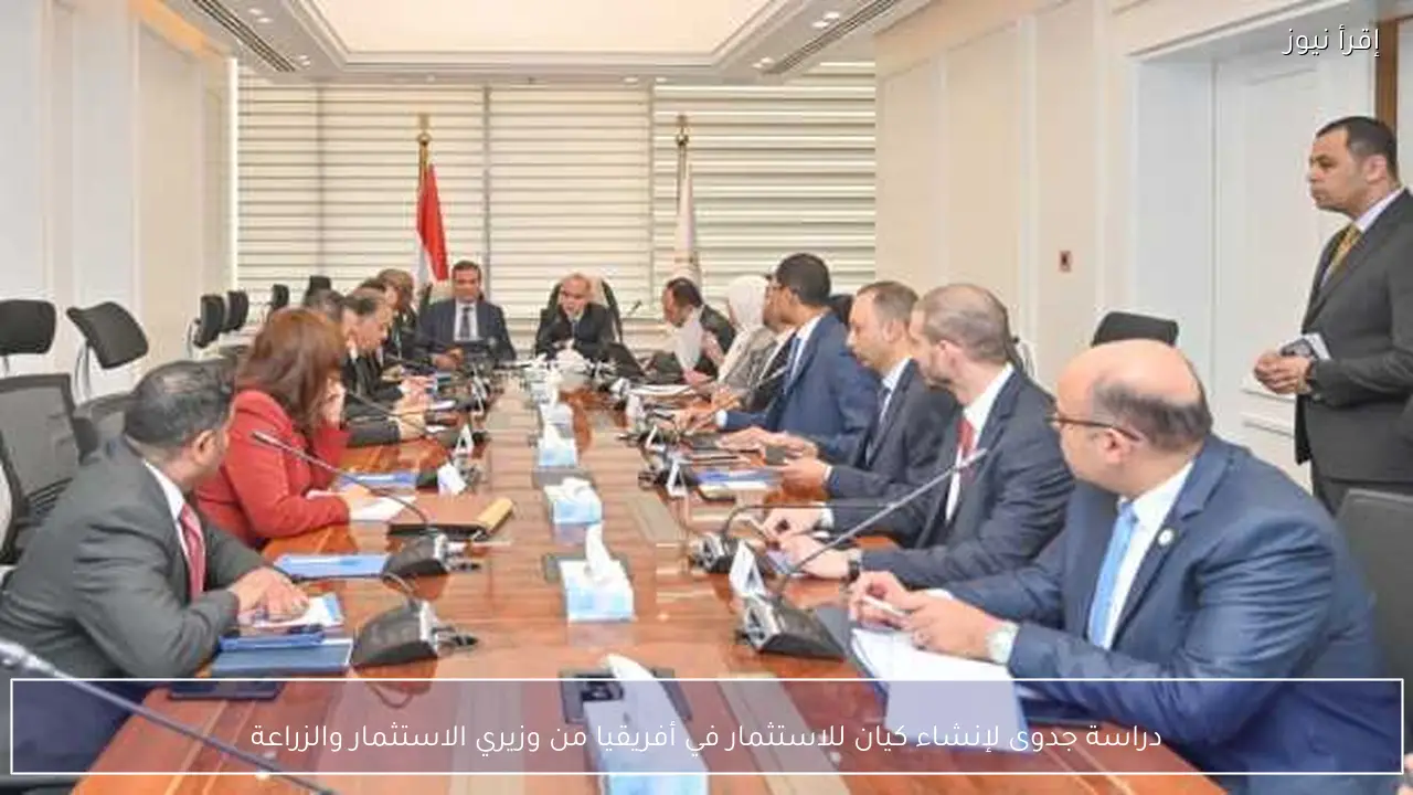 دراسة جدوى لإنشاء كيان للاستثمار في أفريقيا من وزيري الاستثمار والزراعة