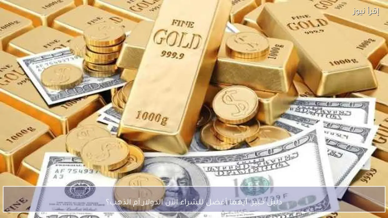 دليل خبير: أيهما أفضل للشراء الآن الدولار أم الذهب؟