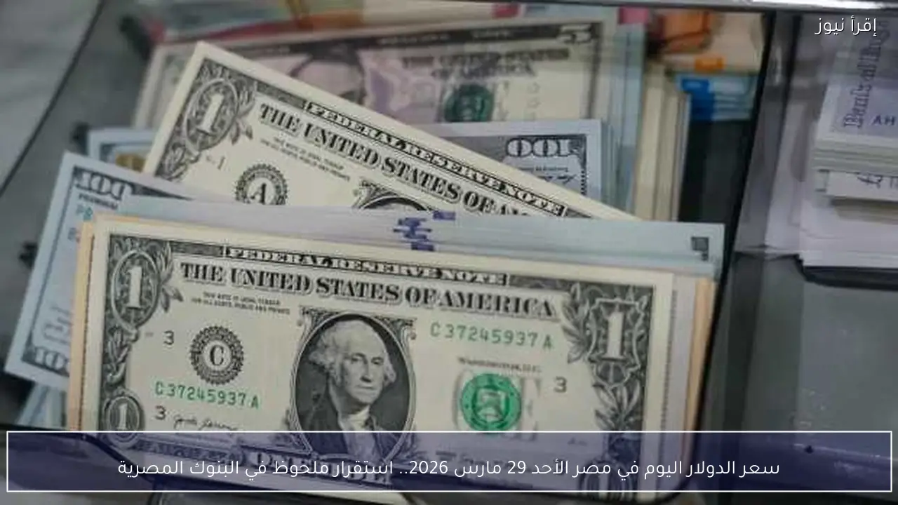 سعر الدولار اليوم في مصر الأحد 29 مارس 2026.. استقرار ملحوظ في البنوك المصرية